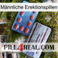 Männliche Erektionspillen 36